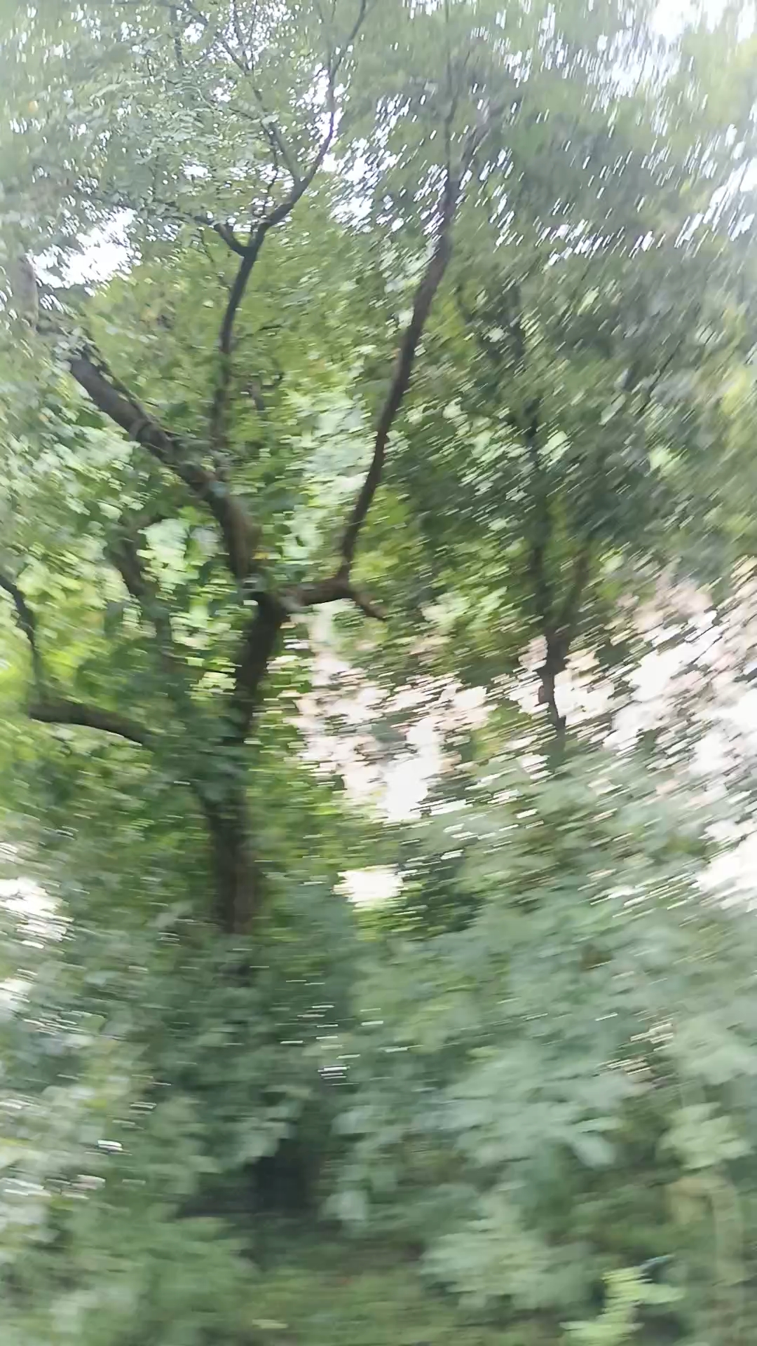 Vlog video