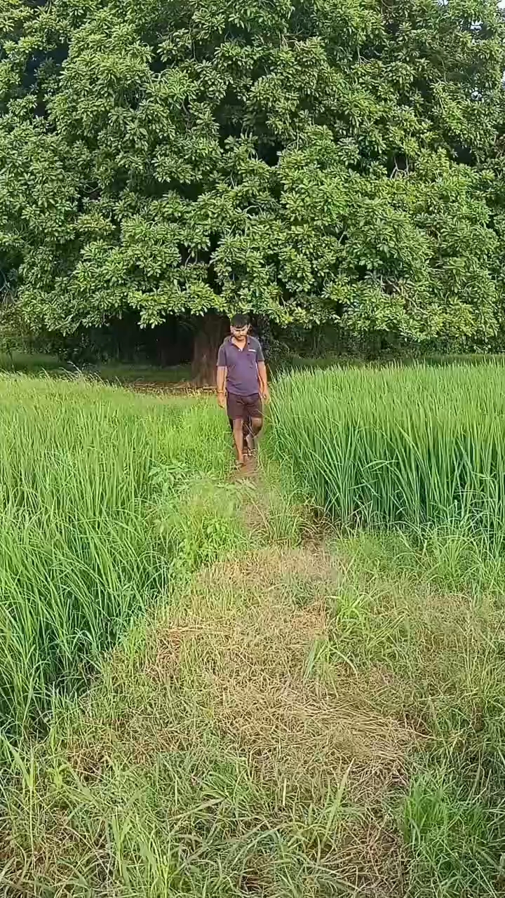 ❤️🥰