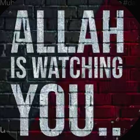 @shamshulhaqshaikh6893