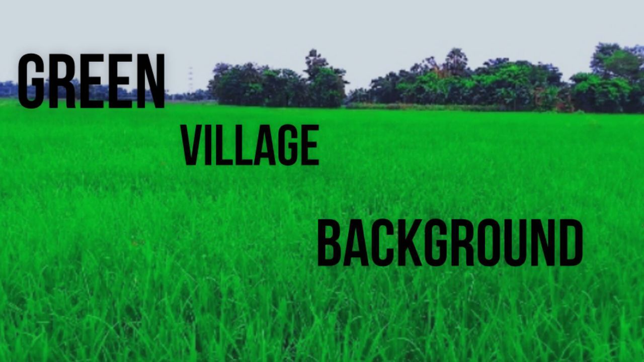 Village video