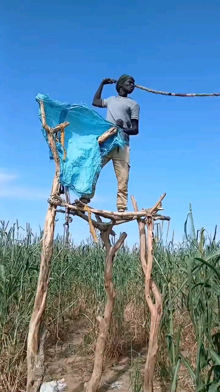 किसान रस्सी क्यों घुमा रहे हैं? 😨 असली वजह जानकर हैरान रह जाओगे! 🌾