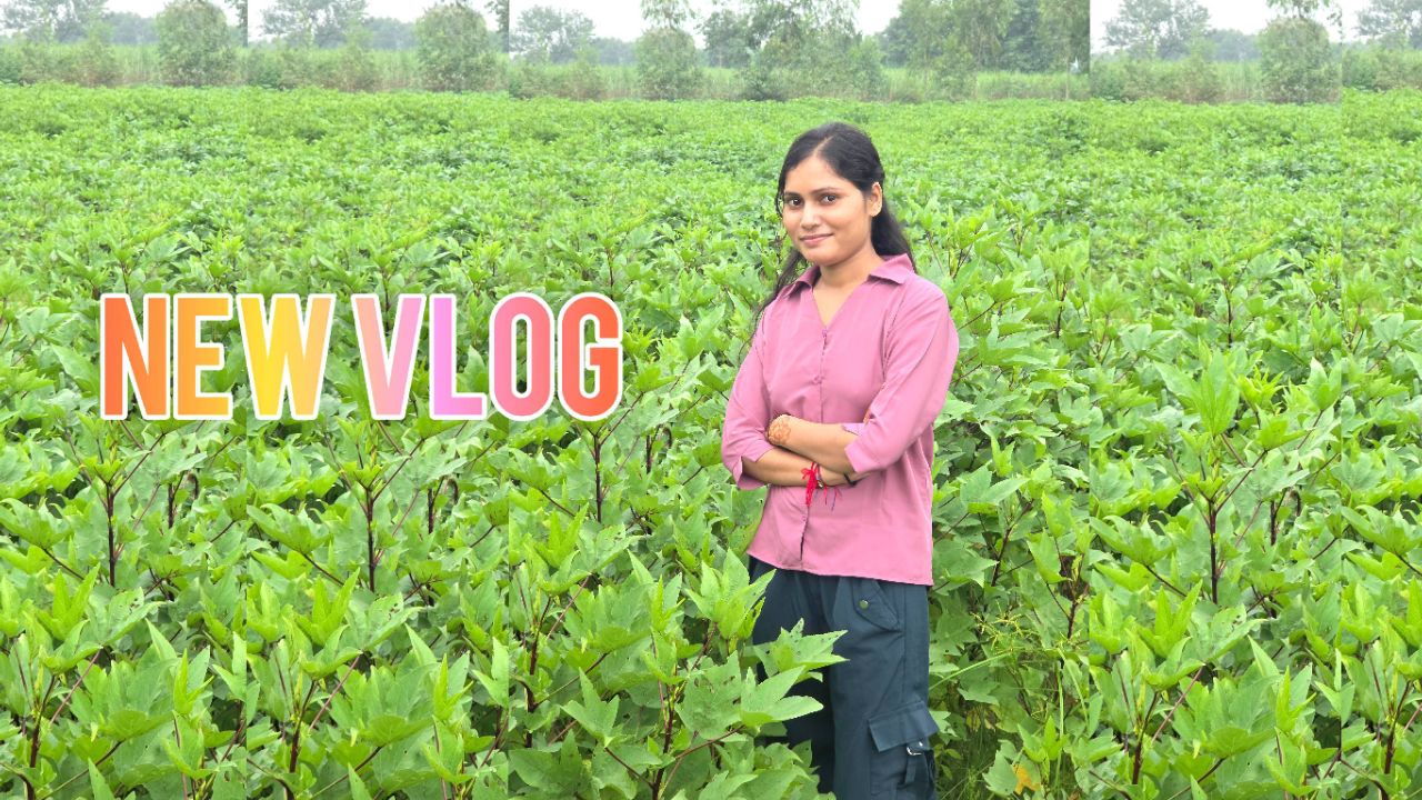 New vlog