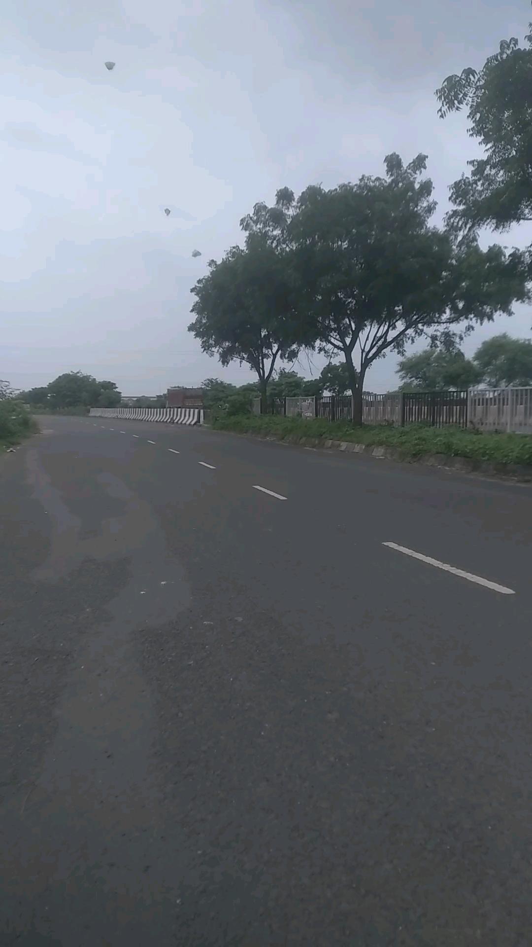 सड़क किनारे