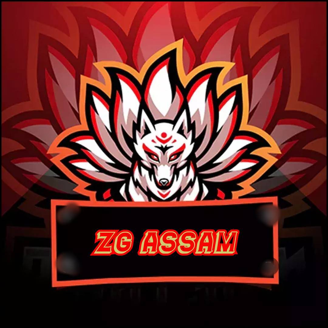 ZG Assam on Bideo