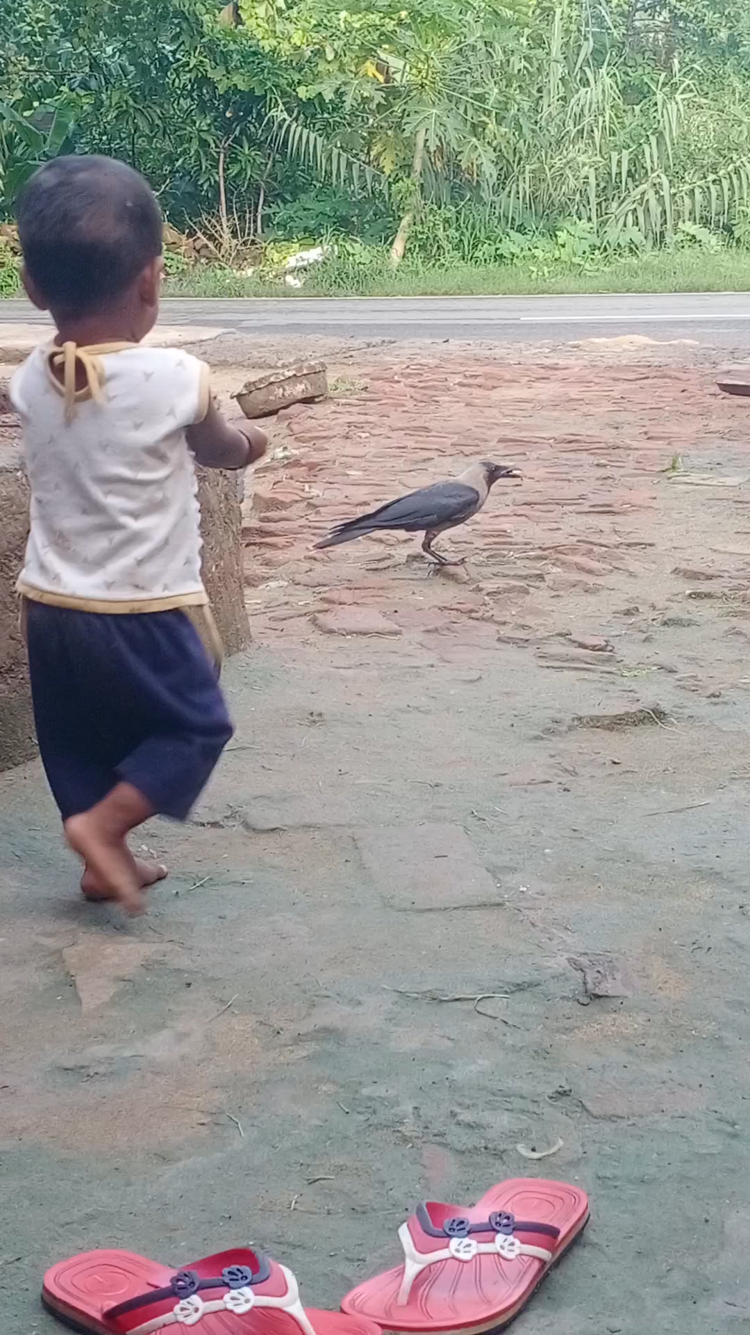 Children #v\s crow