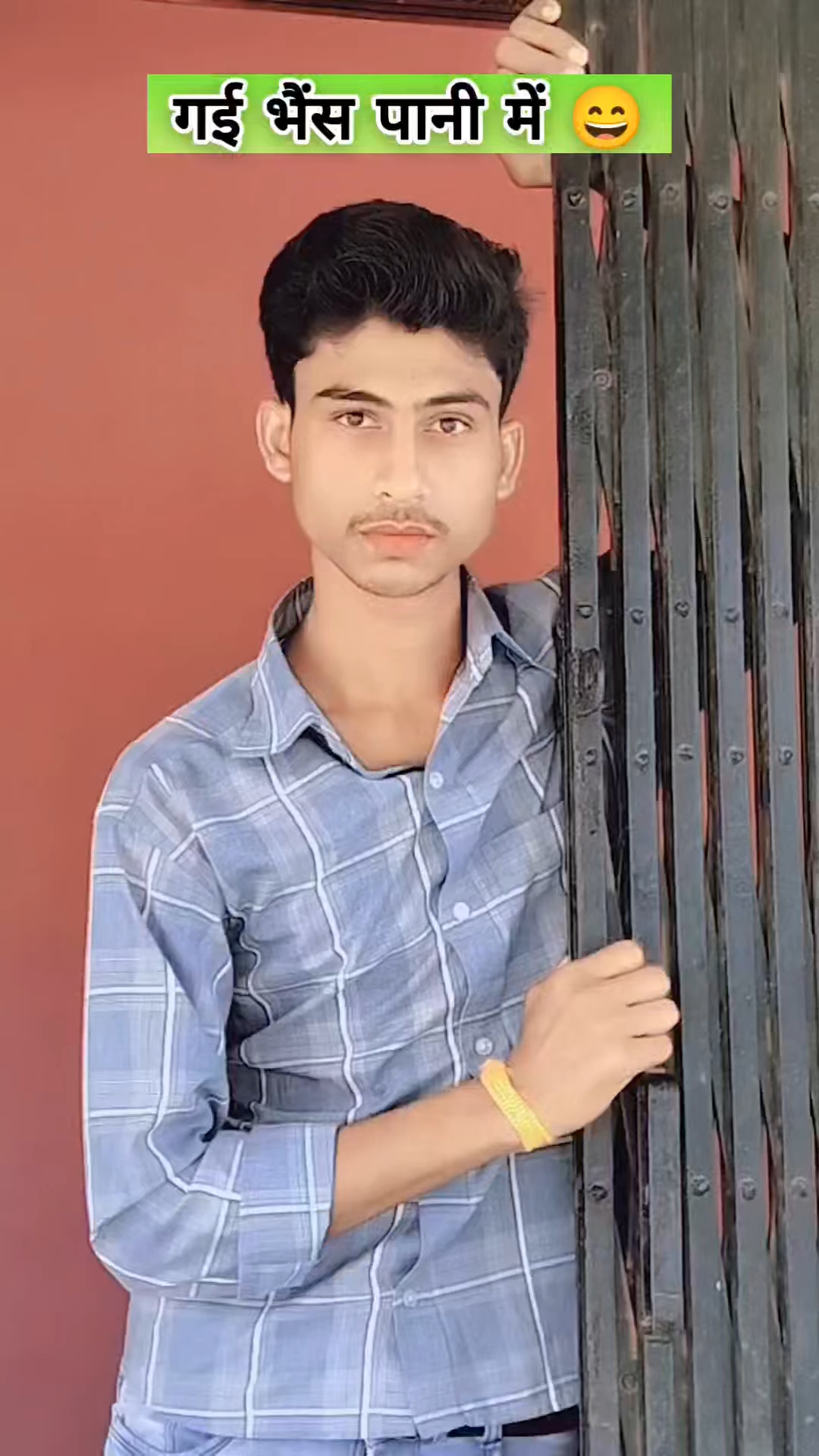 Gai bhais pani me 😂