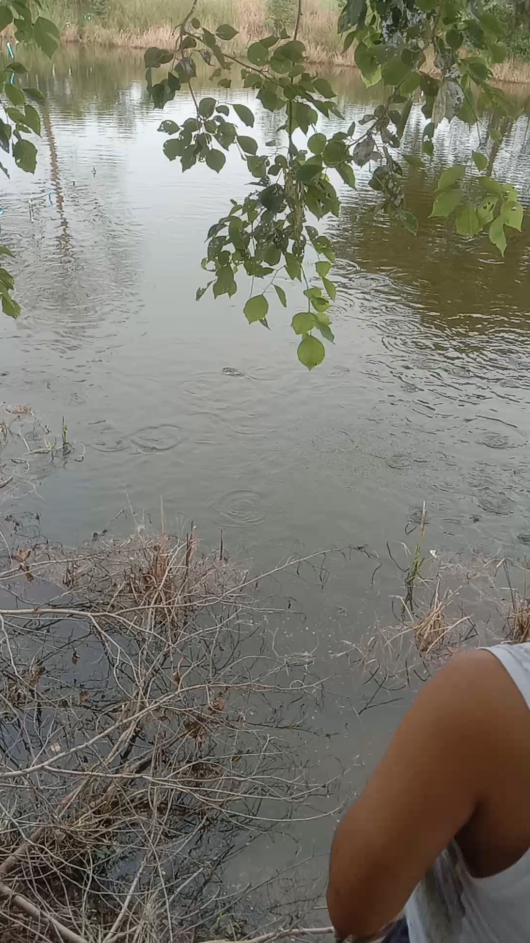 Fish farming