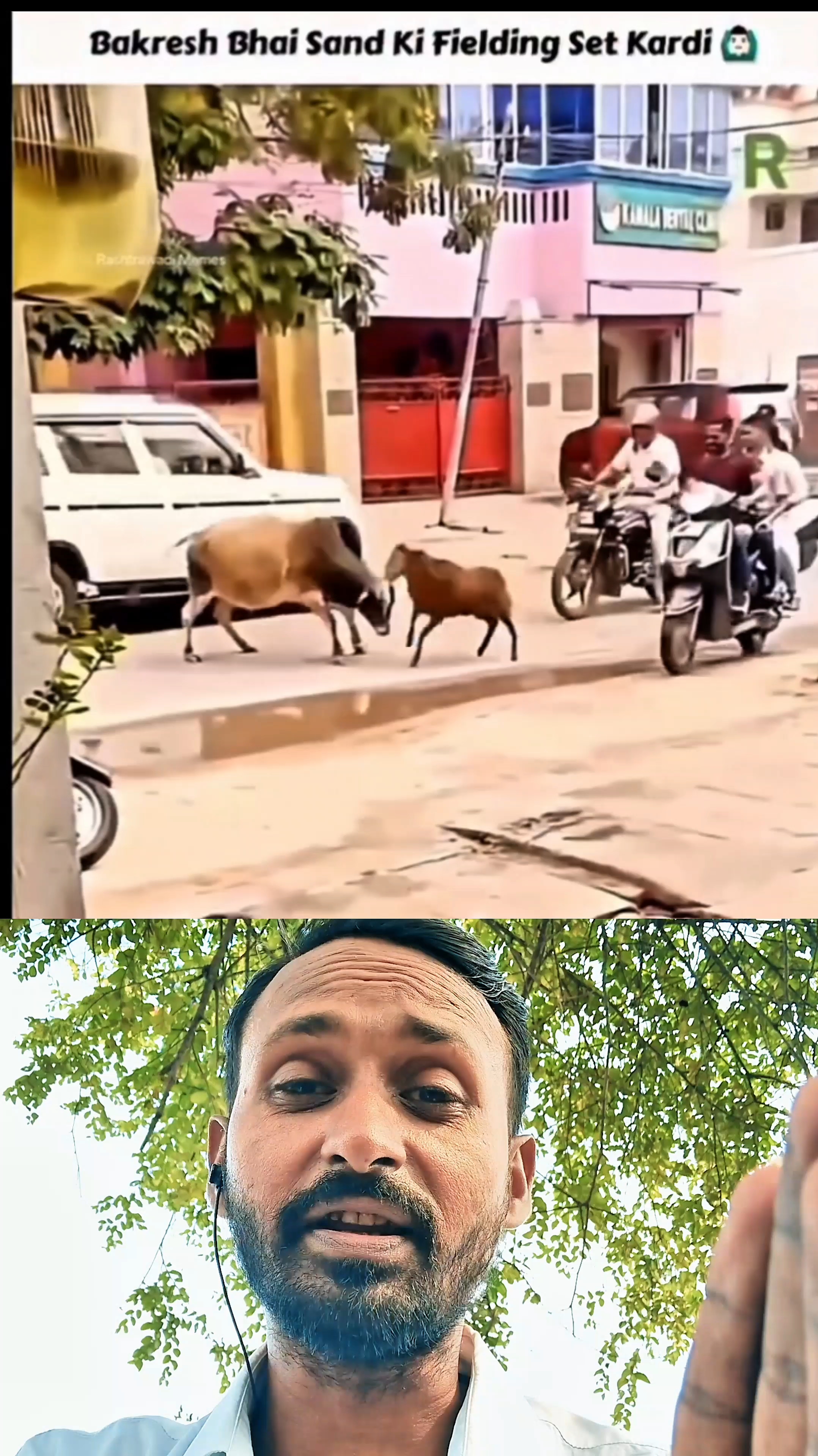 🐂 सांड और दुम्बे की मजेदार भिड़ंत 😱