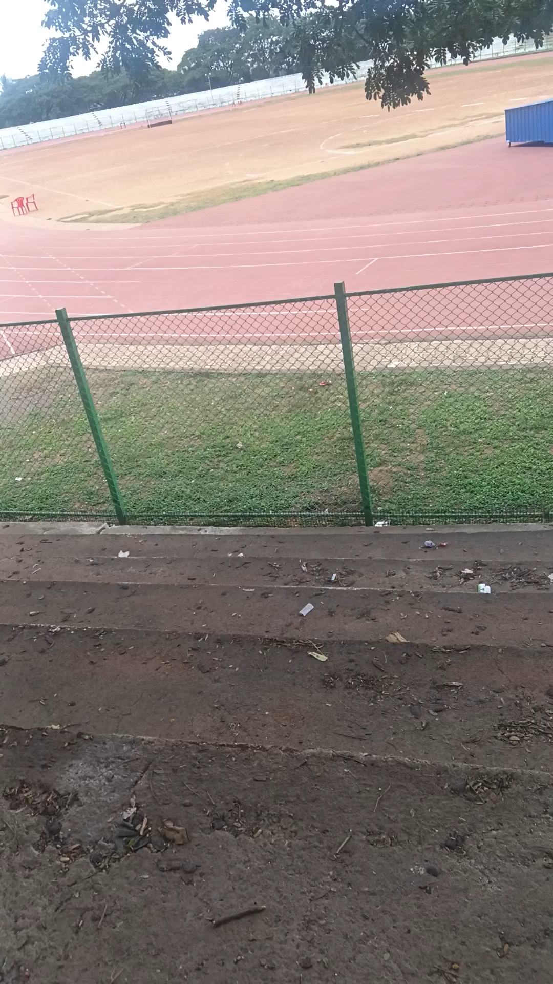 Sports