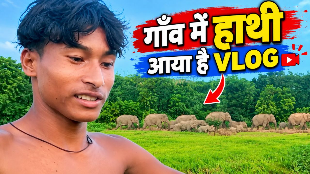 Samar vlgos me elephant 🐘🦣🙅🙏🇮🇳🥹