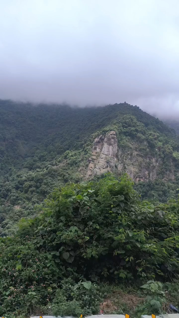 Oty kerela rode