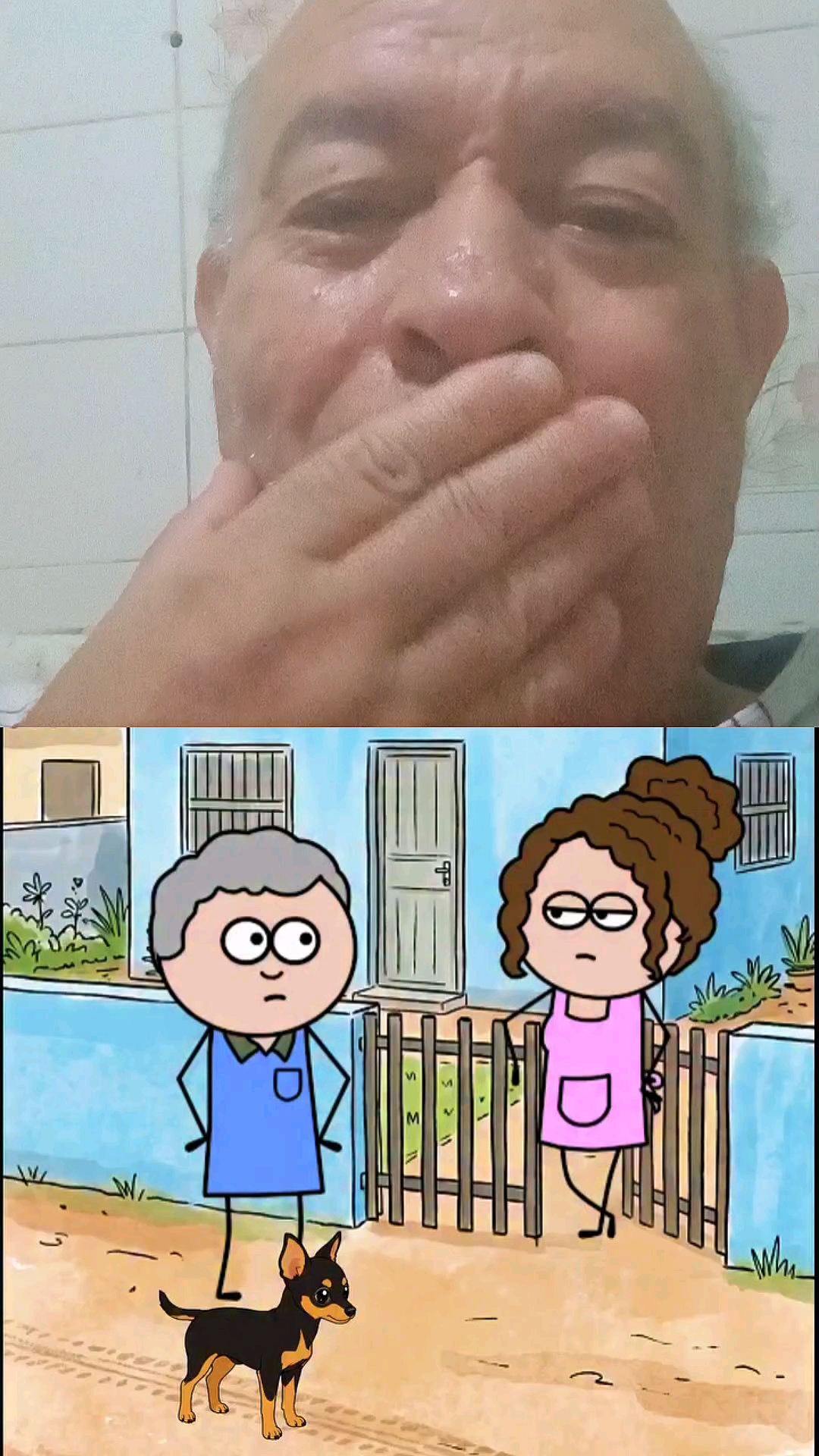 Pergunta e resposta