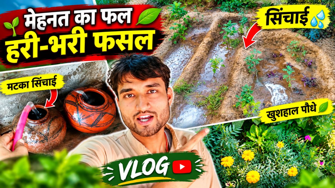 My daily life routine vlog video || Theway