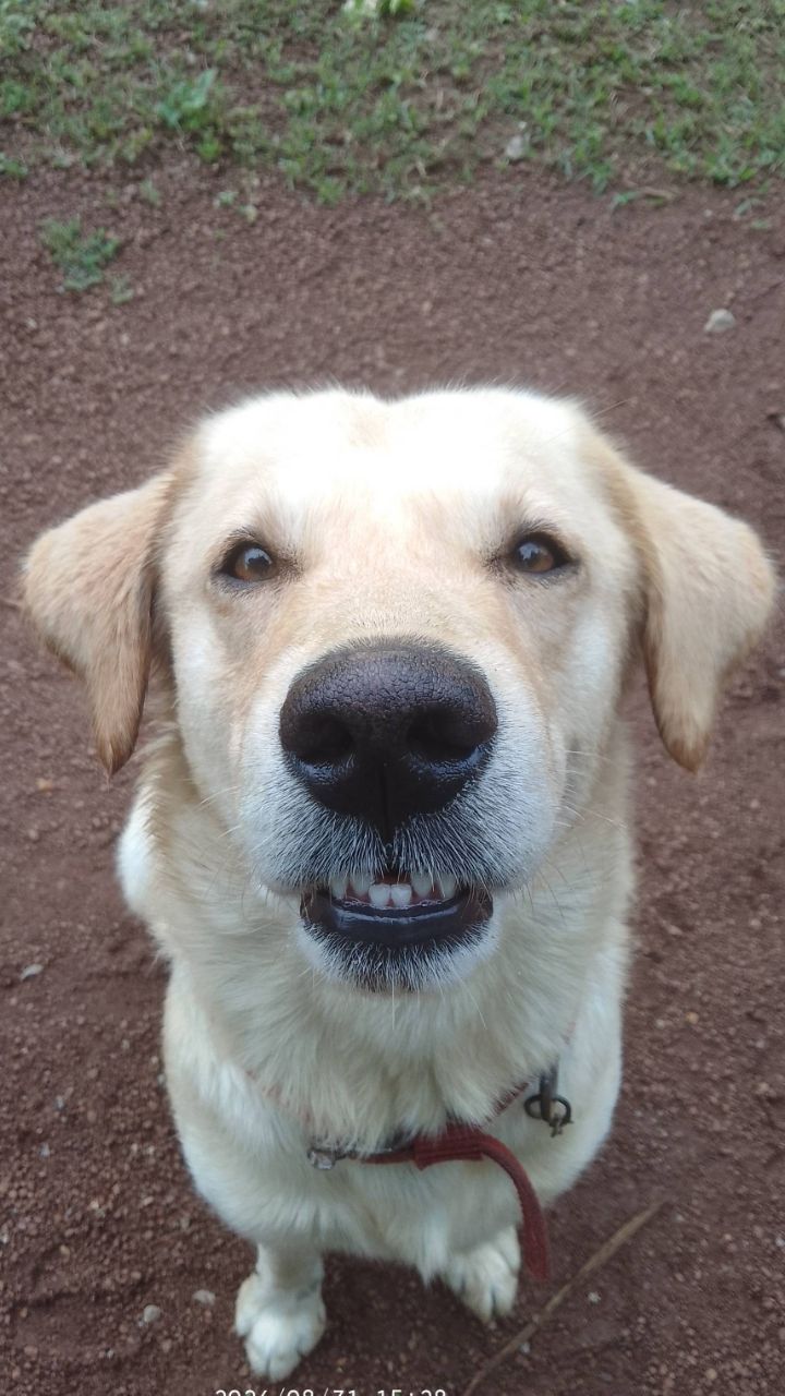 Rocky 🐕🤣