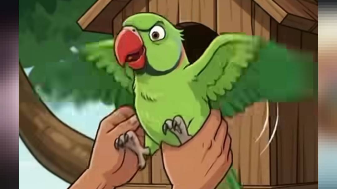 Parrot aur malik ka pyar