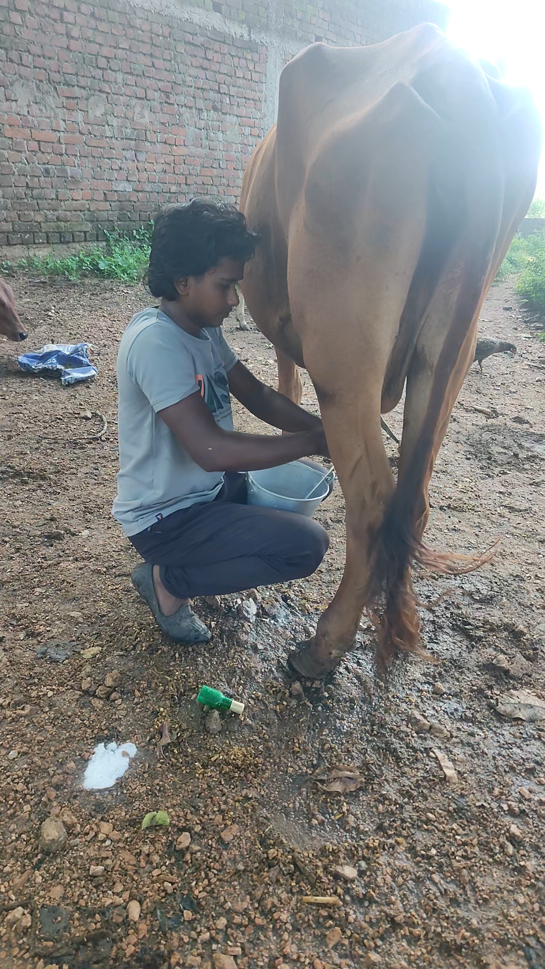 Dudh duhte duhte dudh pine laga 🥛💪
