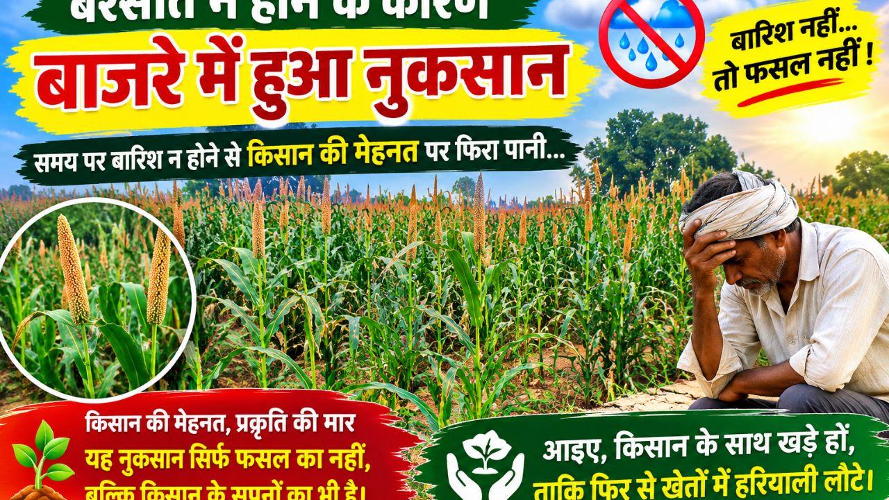 बरसात न होने के कारण किसानों का हुआ नुकसान 😭😭
