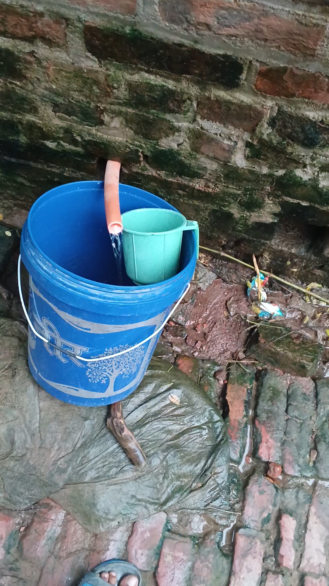 This today in the free government provide this water