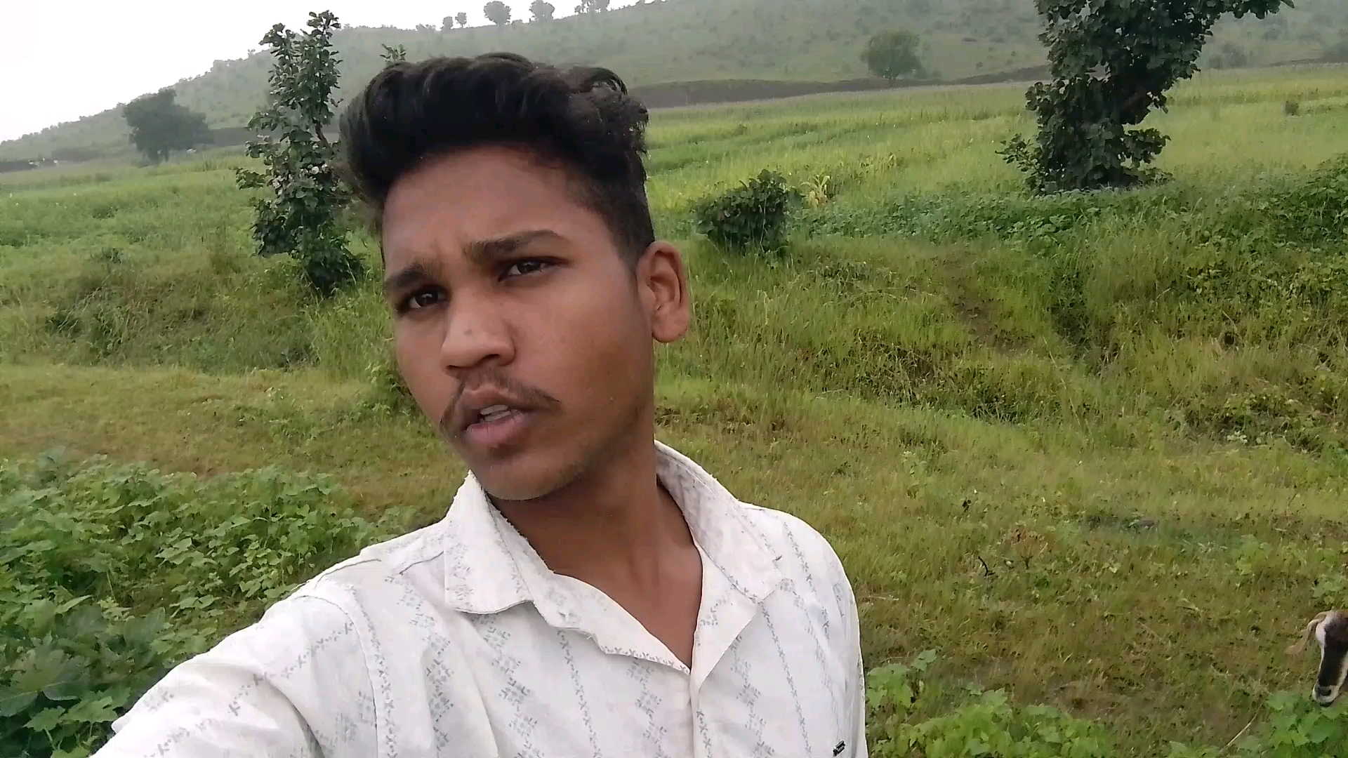 🌧️ सुबह 7 बजे गाँव का नजारा 😍 बकरी चराते हुए!