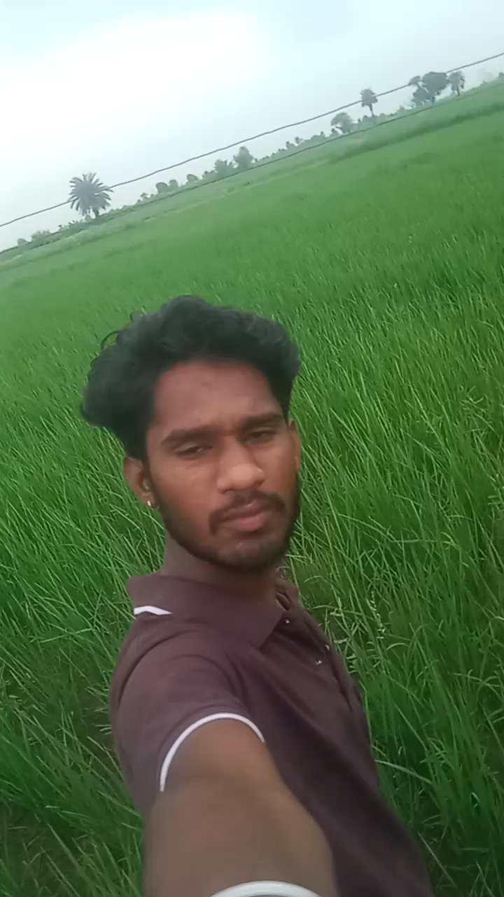 Dhan
