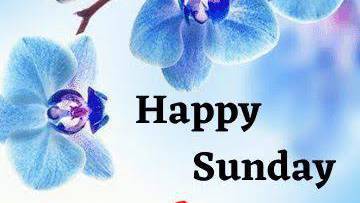 Happy sunday My image video