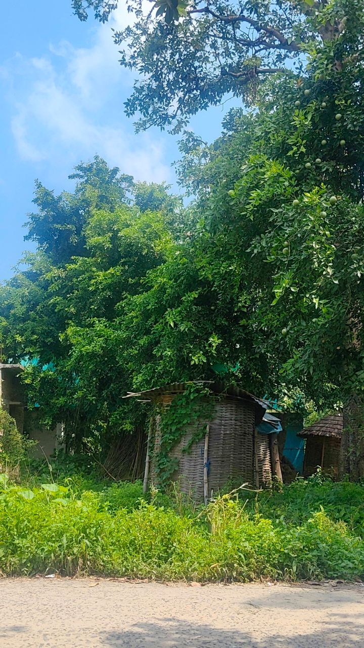 अद्भुत नजारा🌿🌲✨🌍