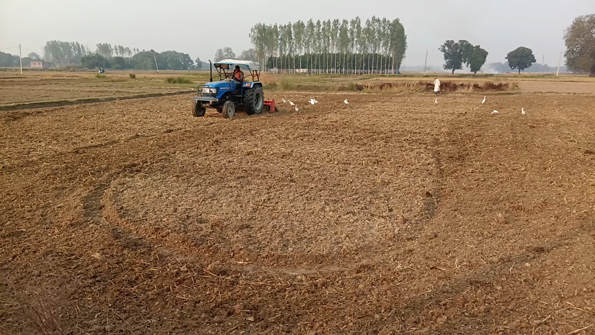Khet