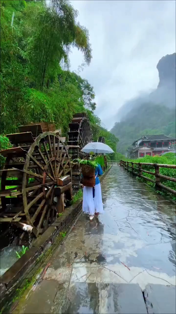 Travel video