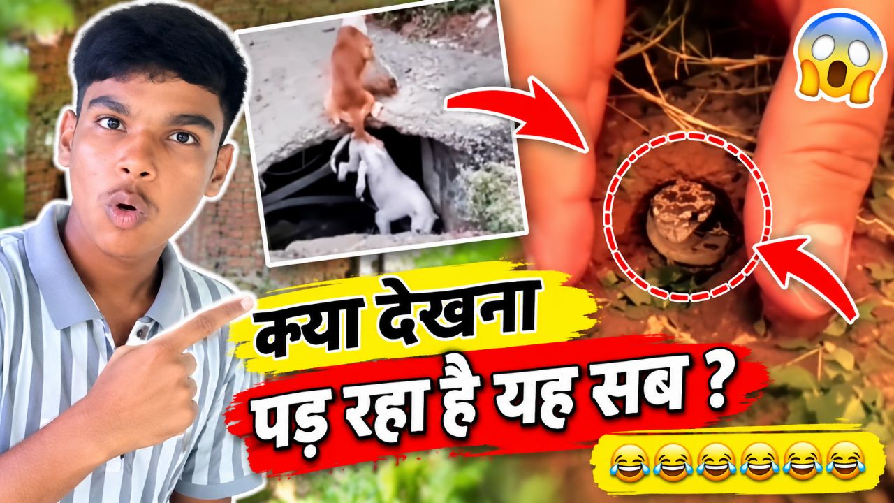 Video viral kaise hota hai