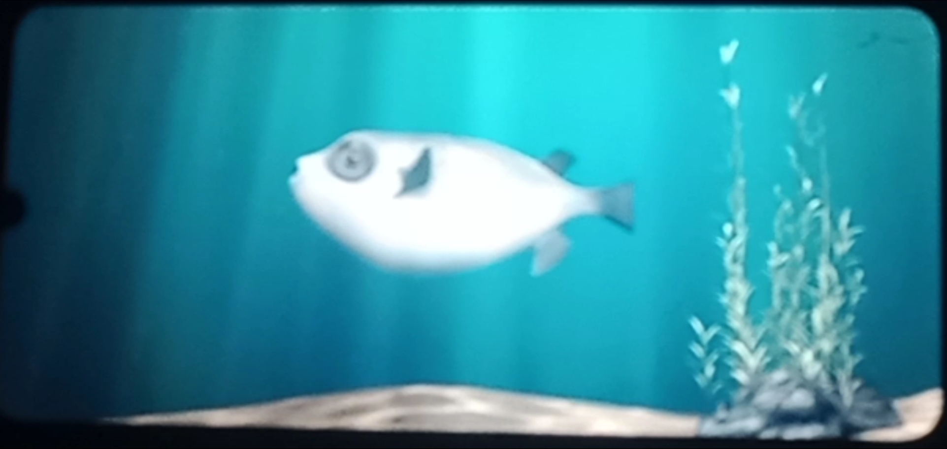 Kids cartoon video