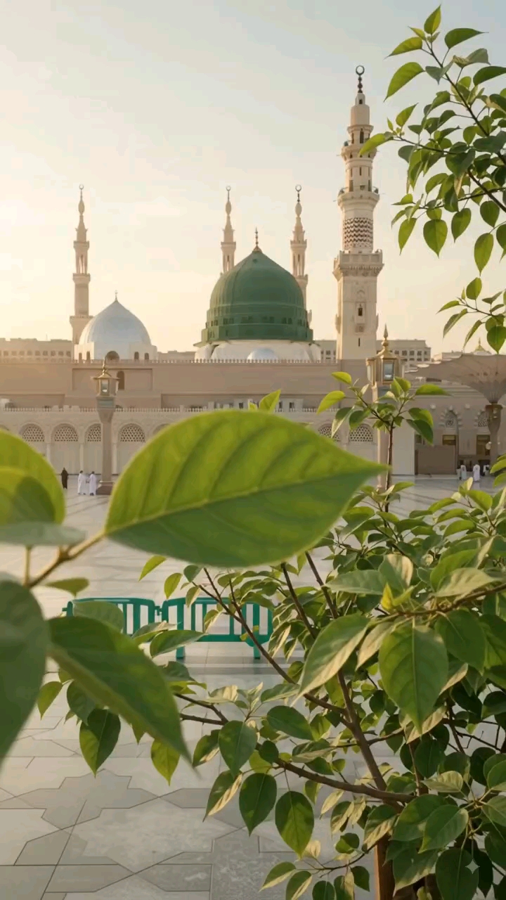 Title: Khalil Sheikh Ka Naam Madinah Mein 🌿❤️
Hashtags: #KhalilSheikh #Madinah #IslamicReels #Follo