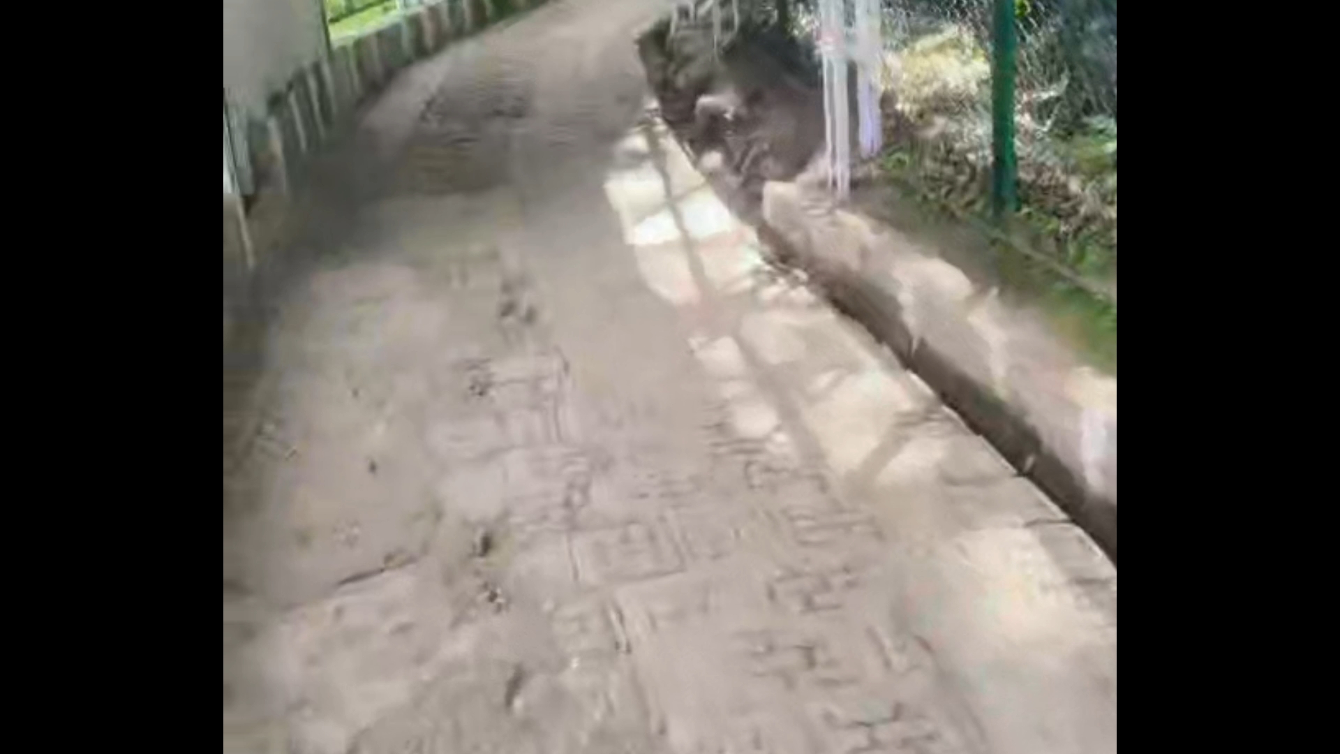 Vaishnavi yatra 2026 new videos
