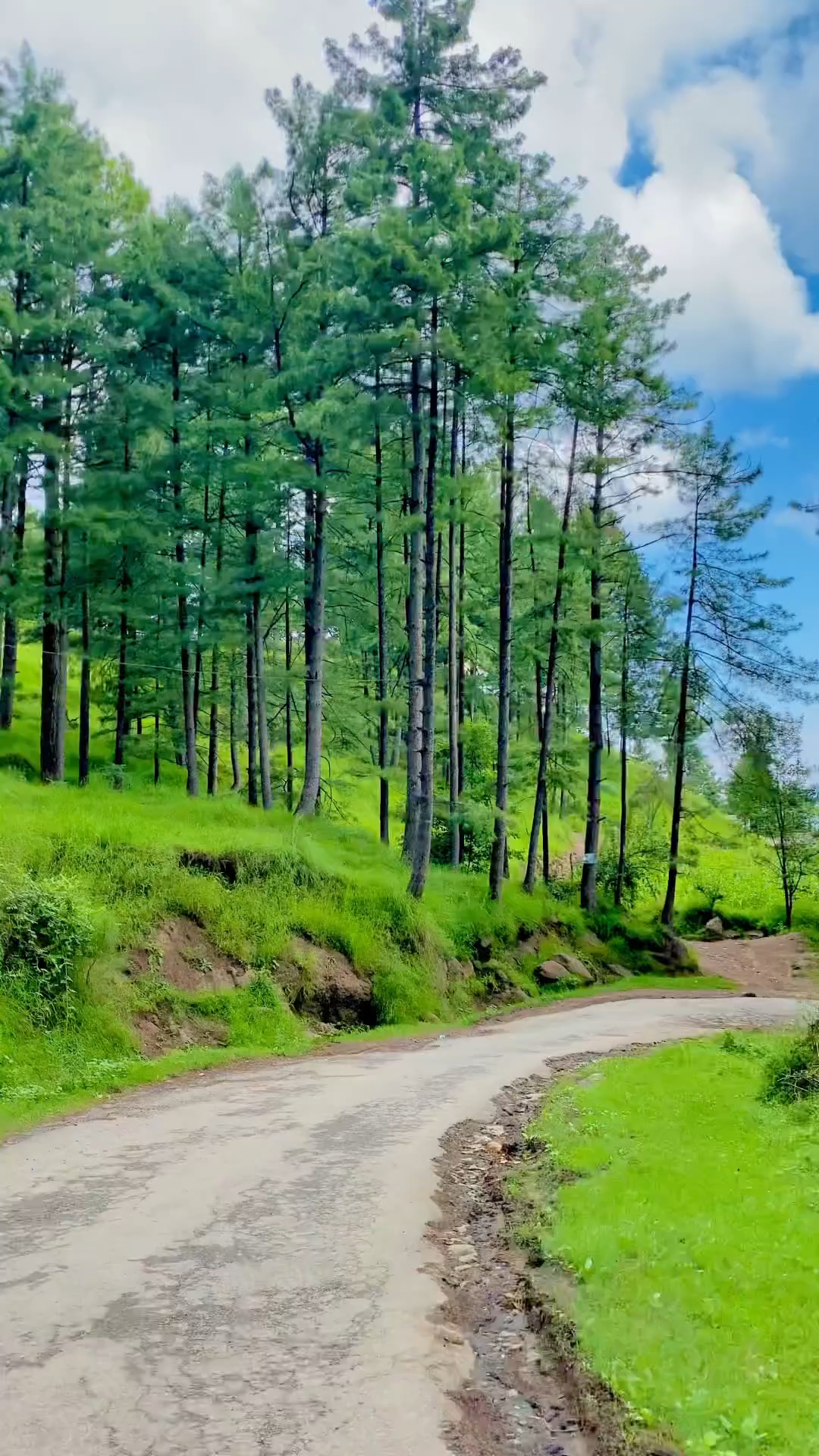 Kashmir View 🫀🌍