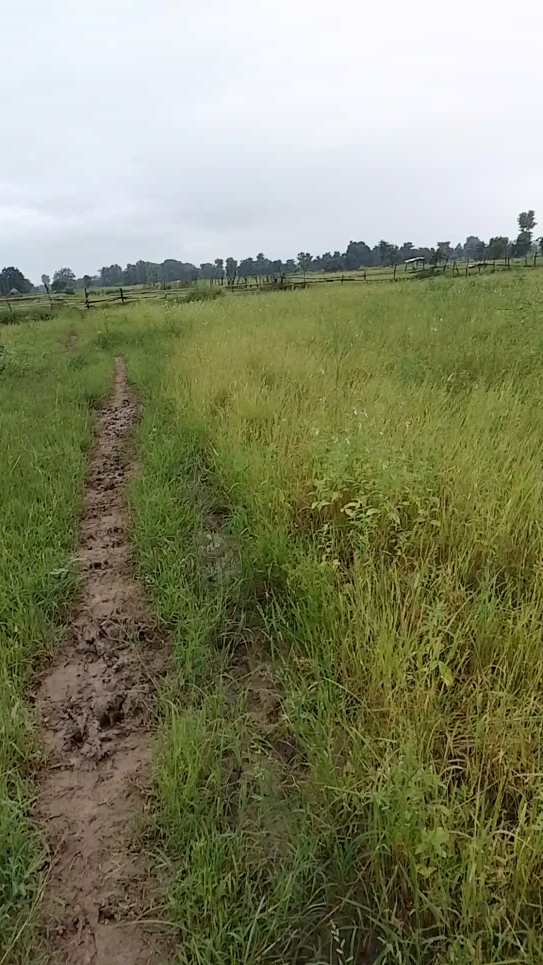 Trayl video may second 🥈 video hai