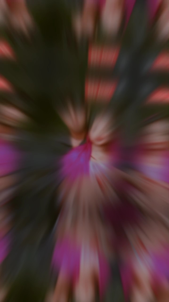 14 September 2026