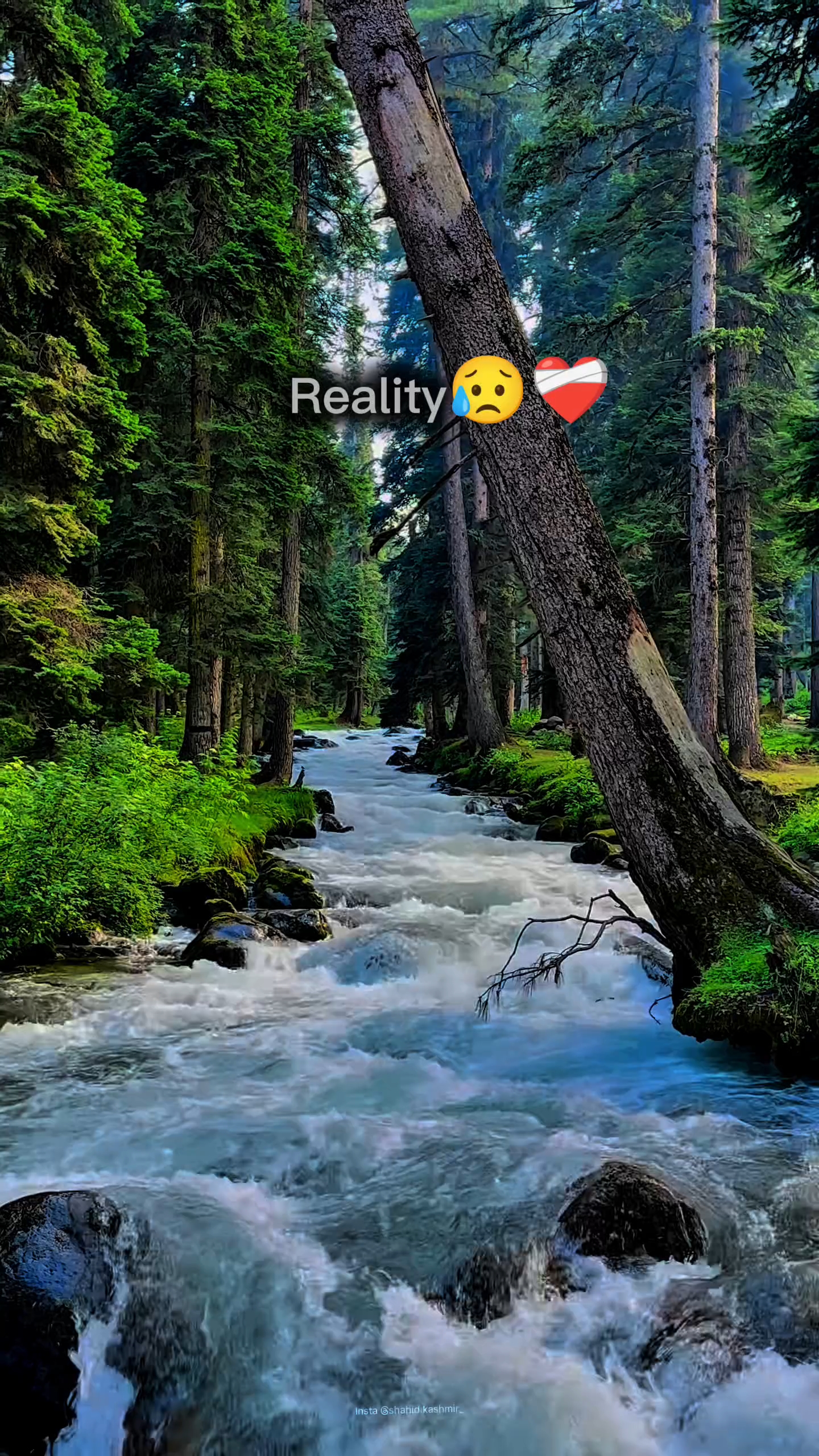 Reality