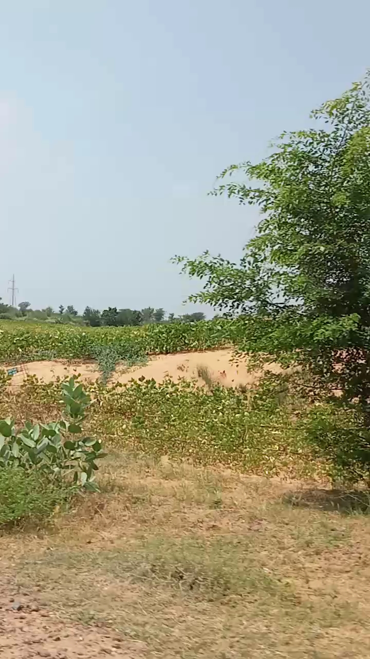 My First vlog on bideo #firstvlog #vlog