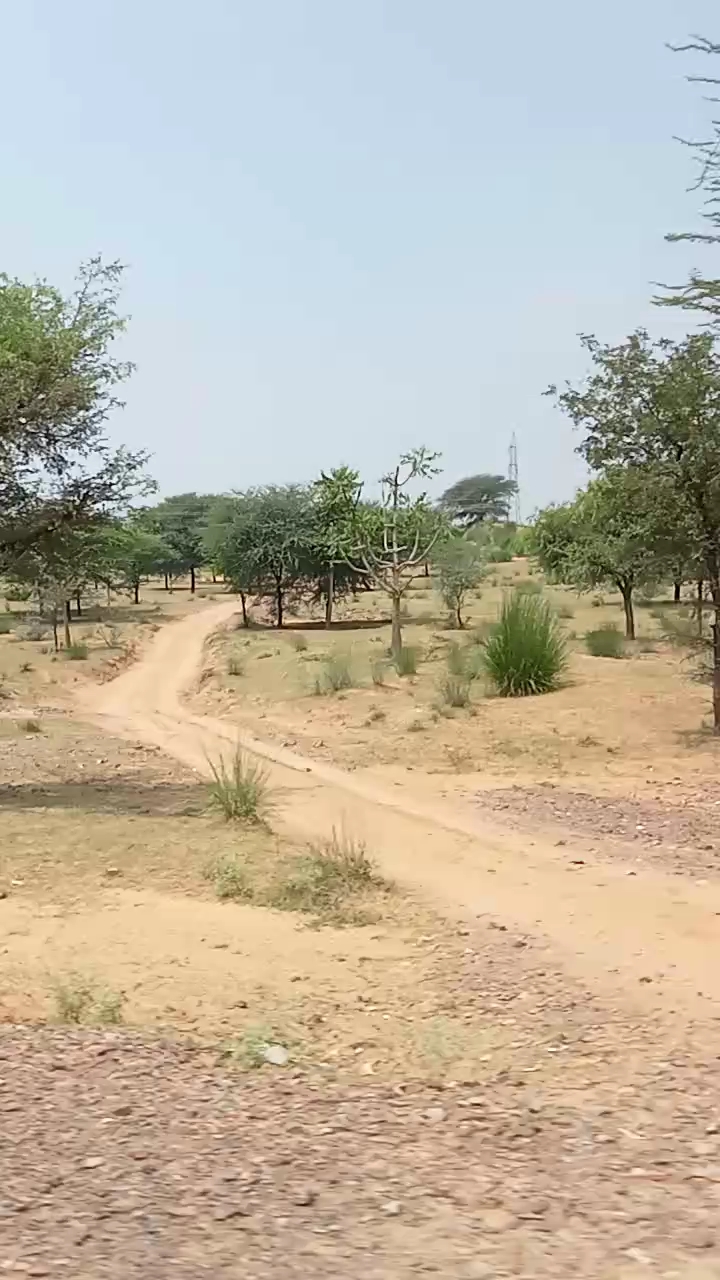 My First vlog on bideo #firstvlog #vlog