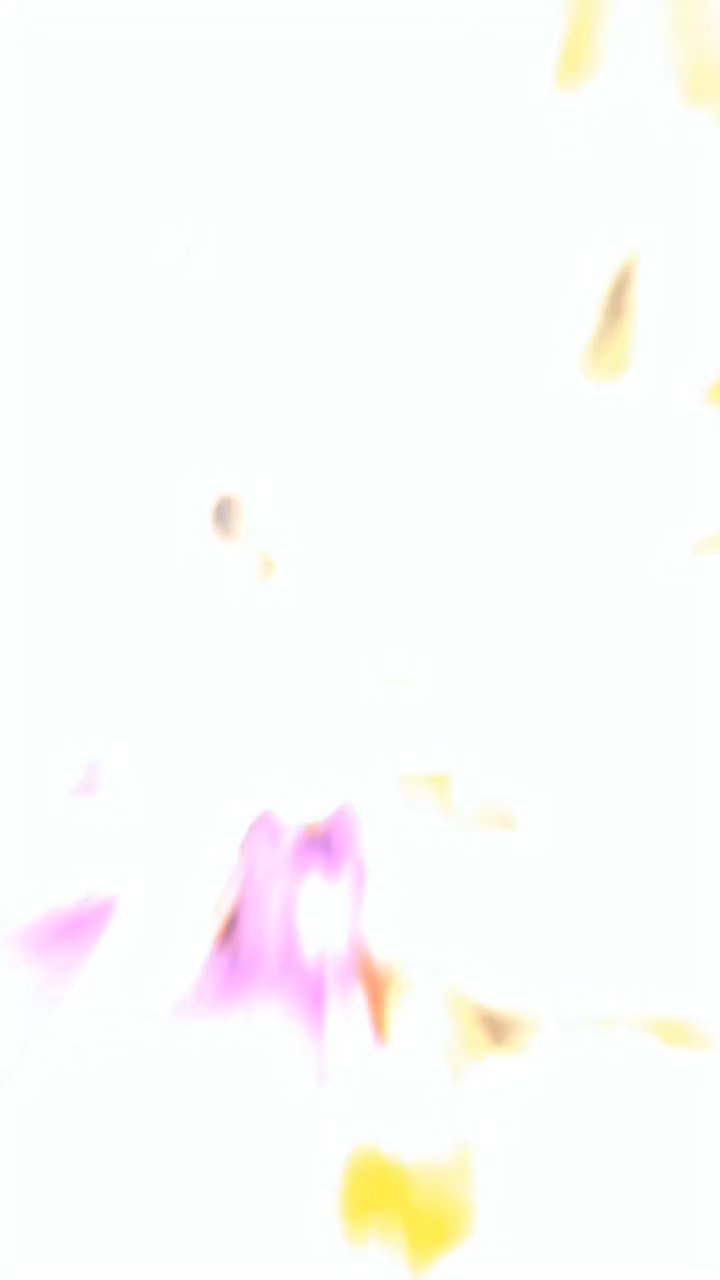 14 September 2026