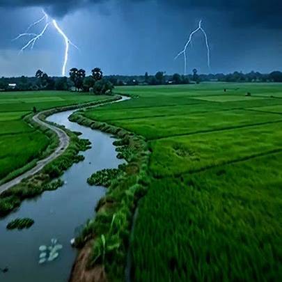 Rohit kumar gosai on Bideo