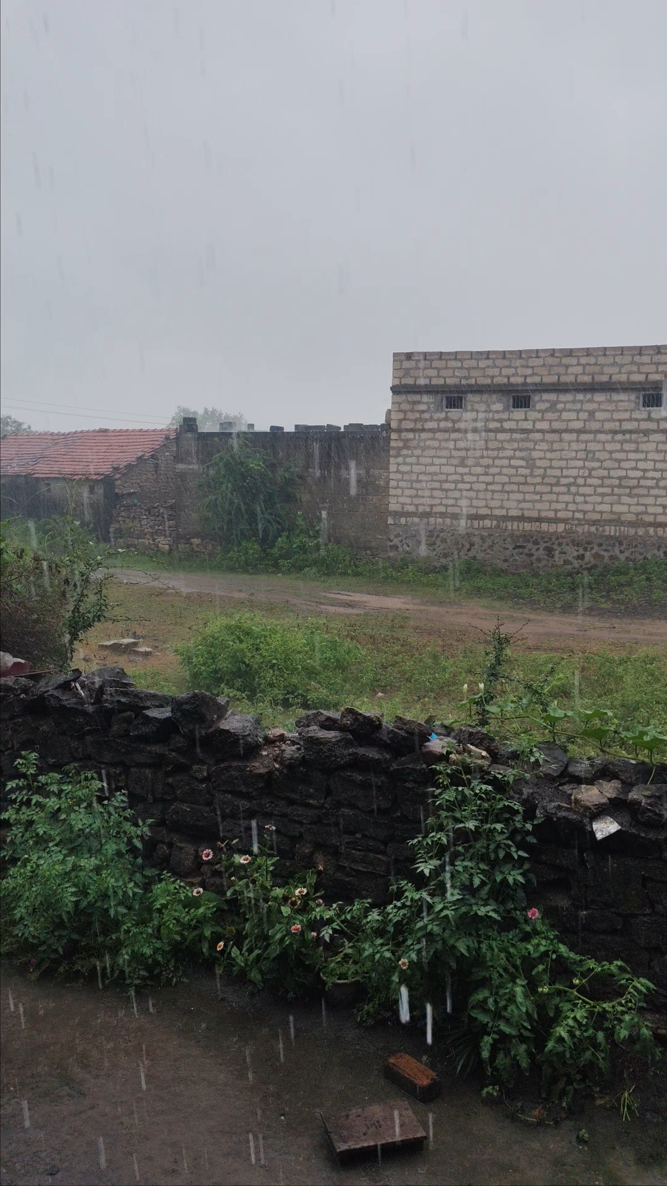 આજ વરસાદ આવી ગયો છે અમારા ગામ મા....