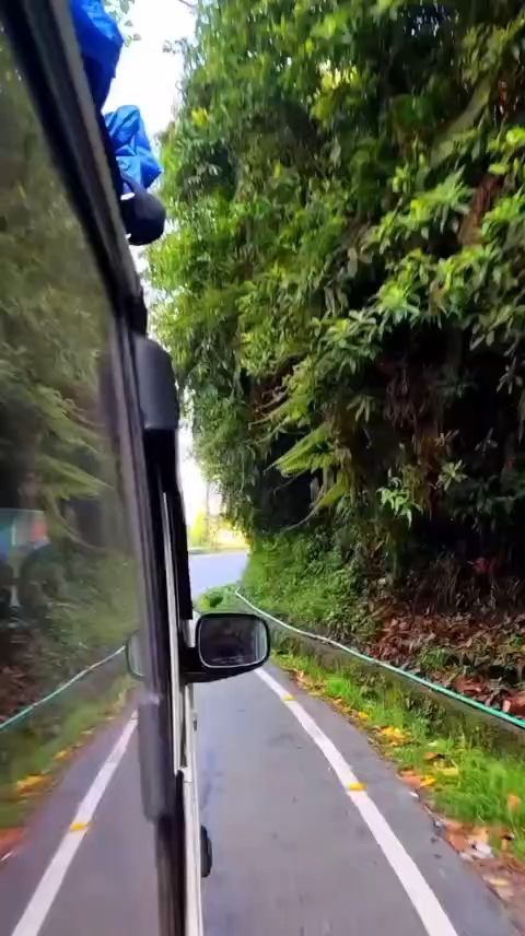 Darjeeling scene