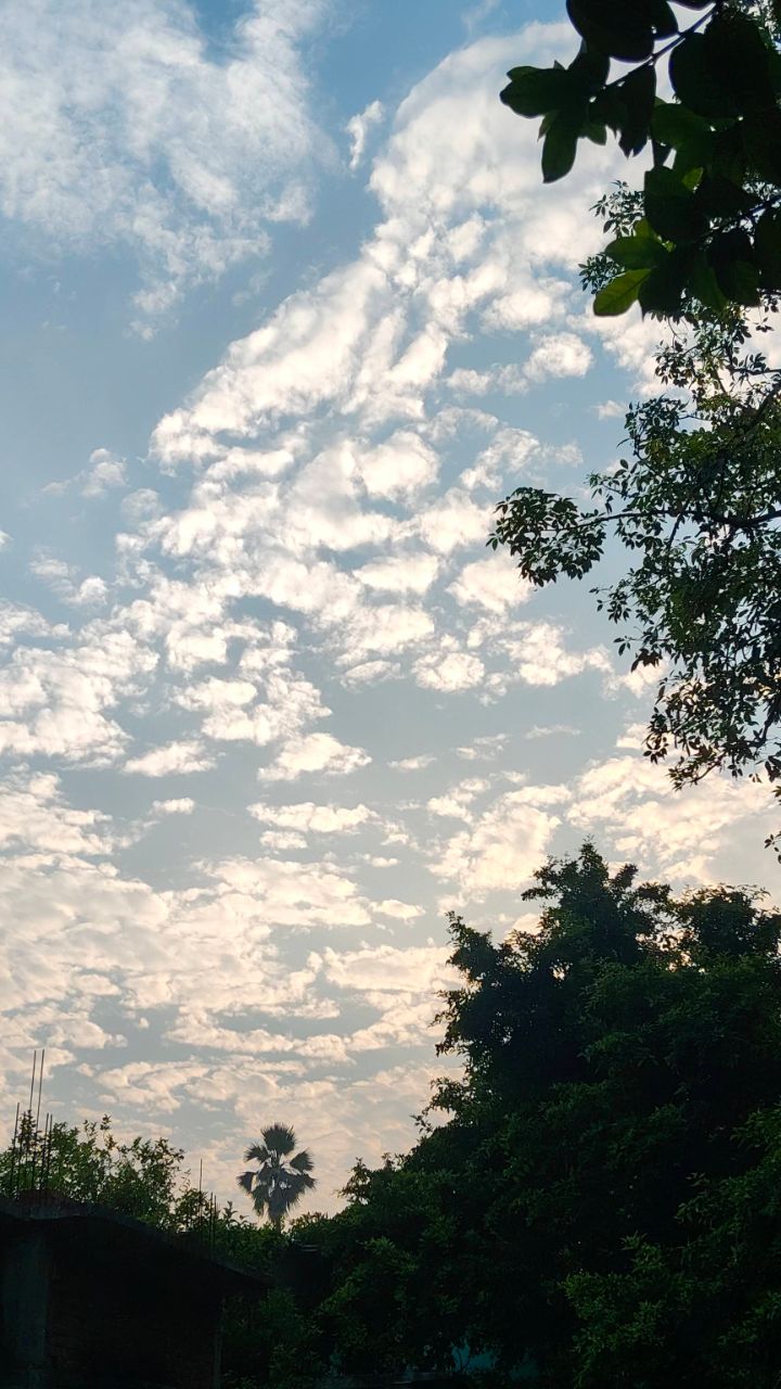 Morning view🌍🌲🌿🌈