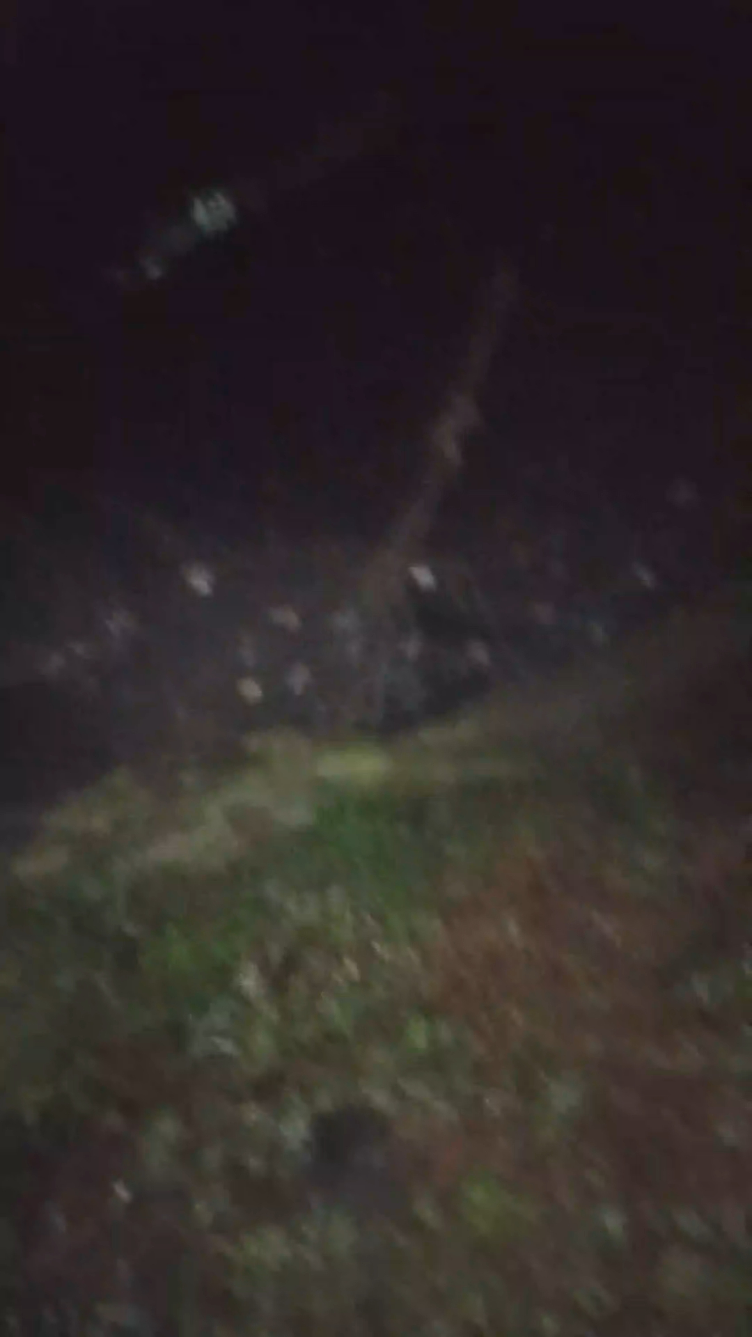 Rat me trek palat gayi hai