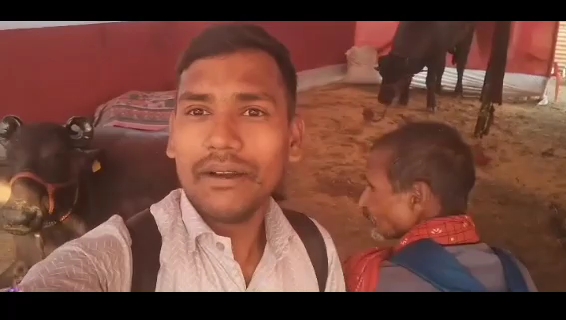 1.5 करोड़ के भैस #सोनपुर #mela