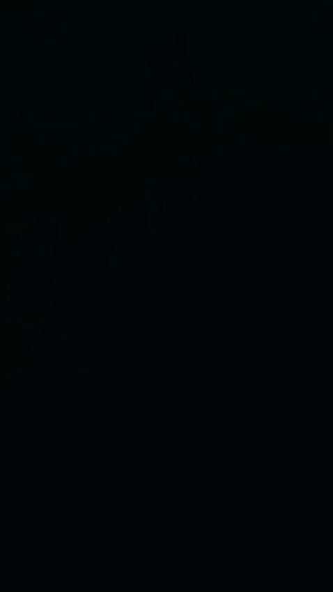 15 September 2026