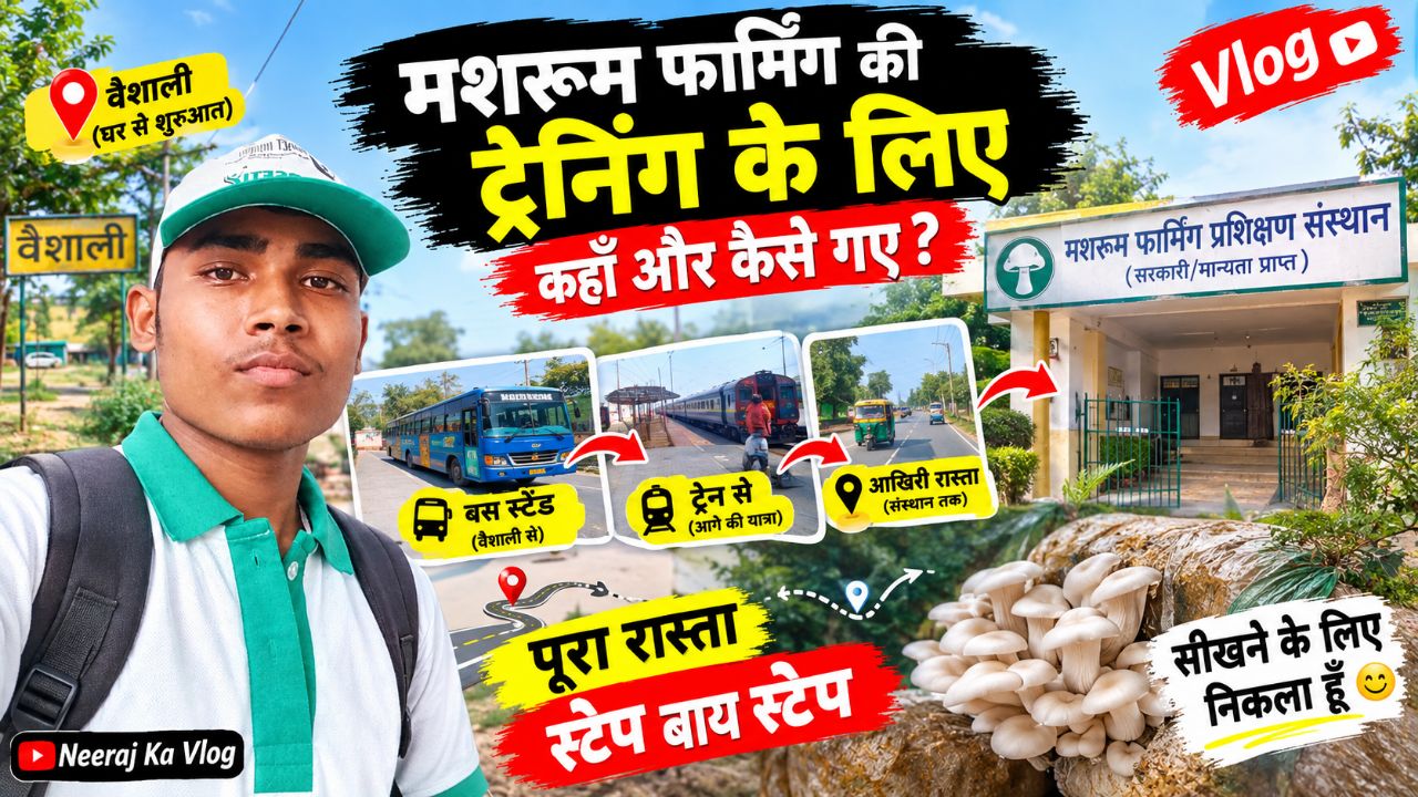 Mushroom Farming Training Journey | Vaishali to Training Institute | Full Route Vlog 🚶🍄