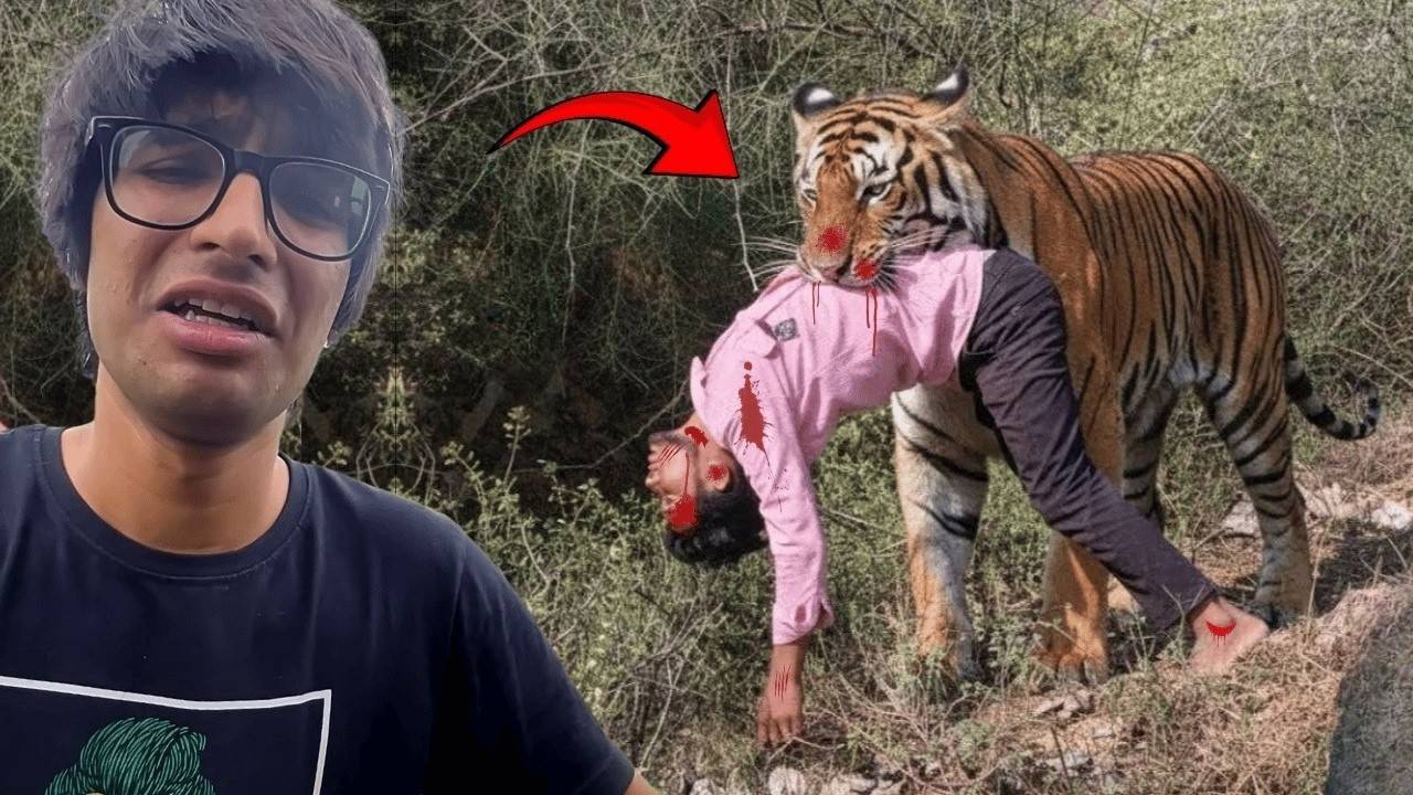 जंगल सफारी में टाइगर ने ये क्या कर दिया 😱 #tiger #souravjoshivlogs