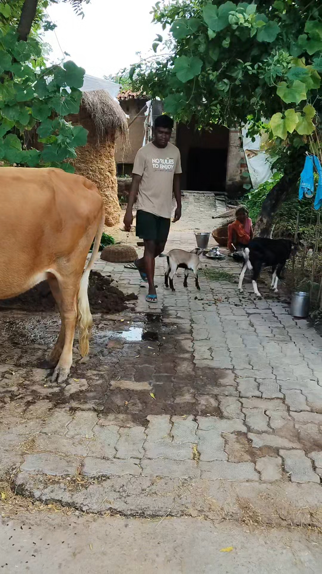 Kaise log hi ye sab