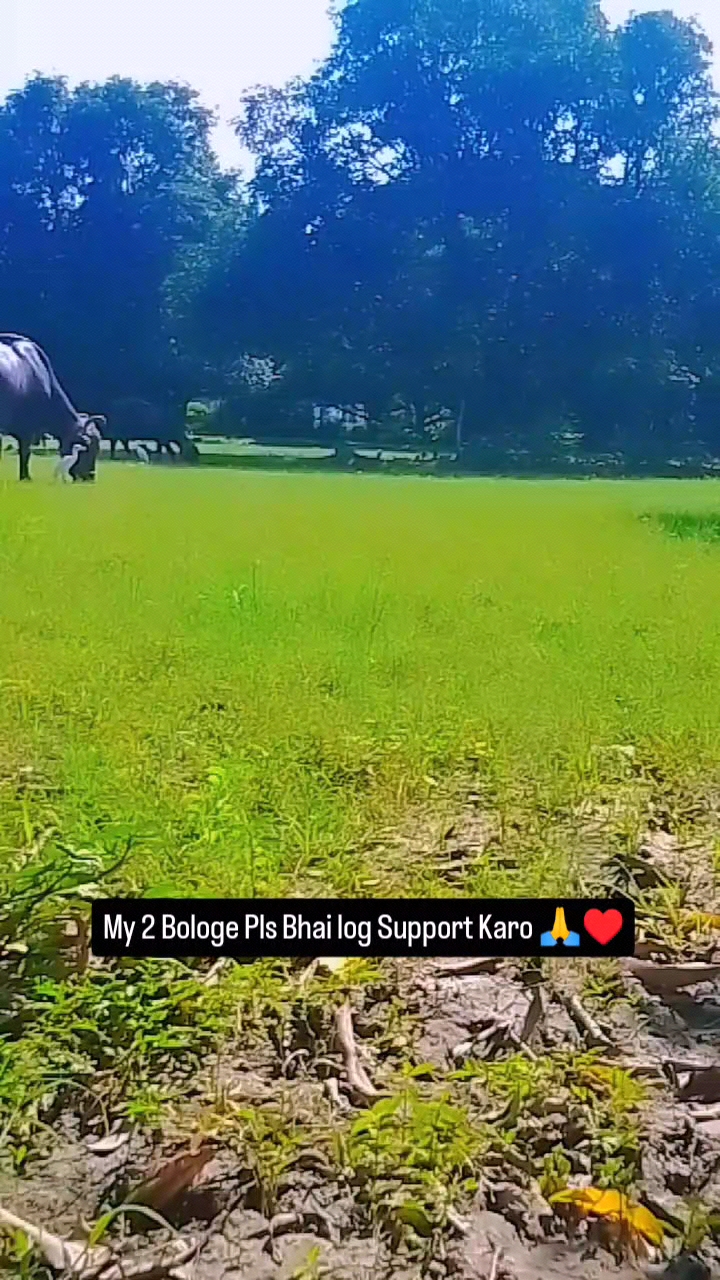 Hello Friends Log Support Karo 🙏♥️ // #shorts #trending